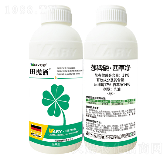 31%ɯ���ס����݃�-���-�f(w��n)��