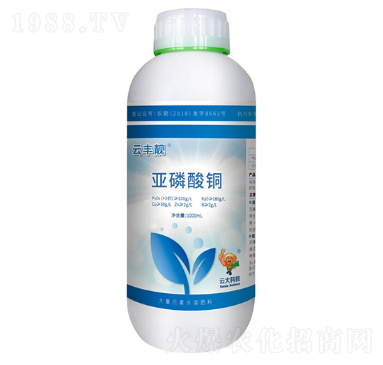 ���S�n�������~-�ƴ�Ƽ�