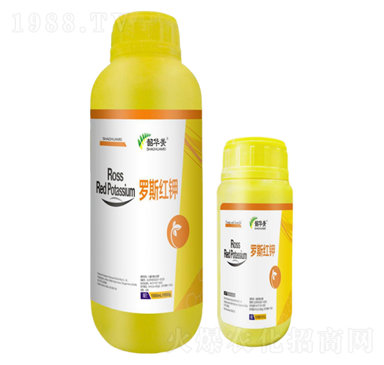 �_˹�t�-���A��