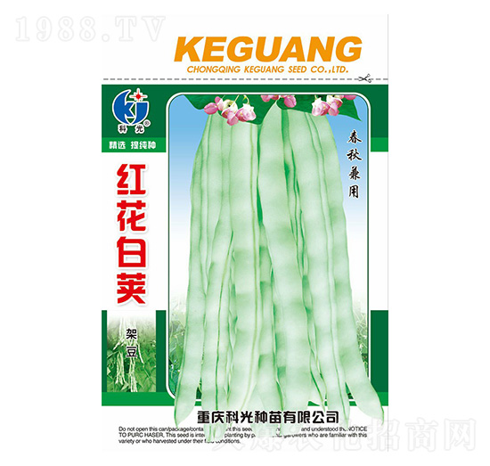 �t�����v�ܶ�-�ƹ�N��