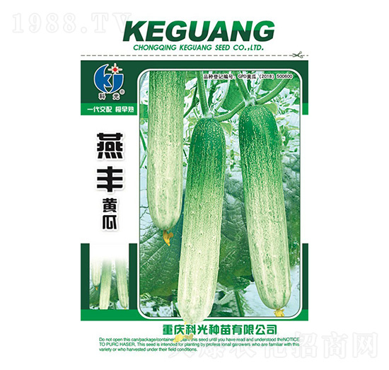 ���S�S��-�ƹ�N��