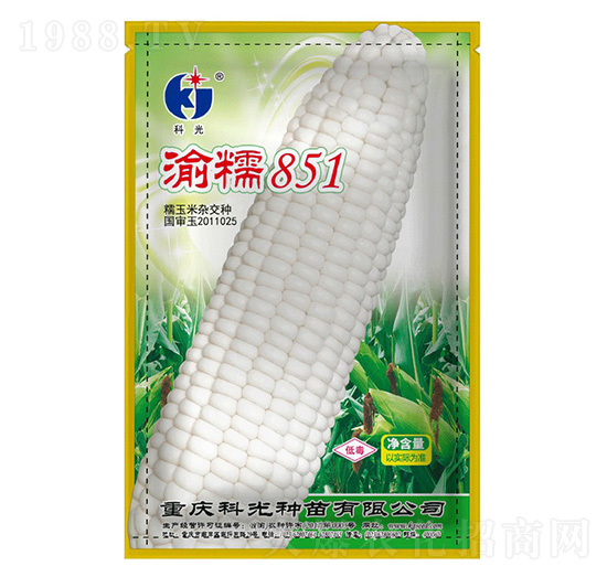 渝糯851-科光種苗