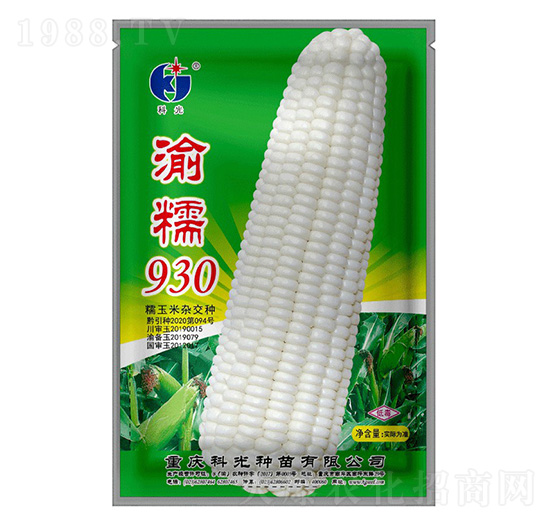 渝糯930-科光種苗