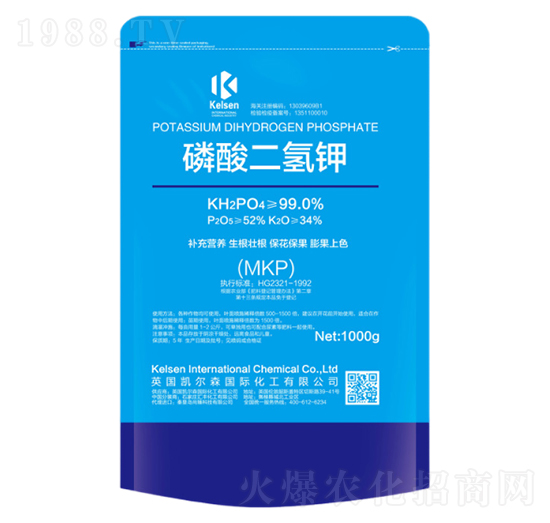 ��������-�P��ɭ-����Ƽ�