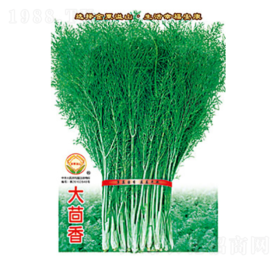 ������-̫��(l��)�N�I(y��)