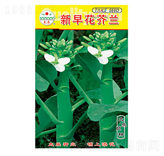 ���m�N��-���绨���m-̫��(l��)�N�I(y��)