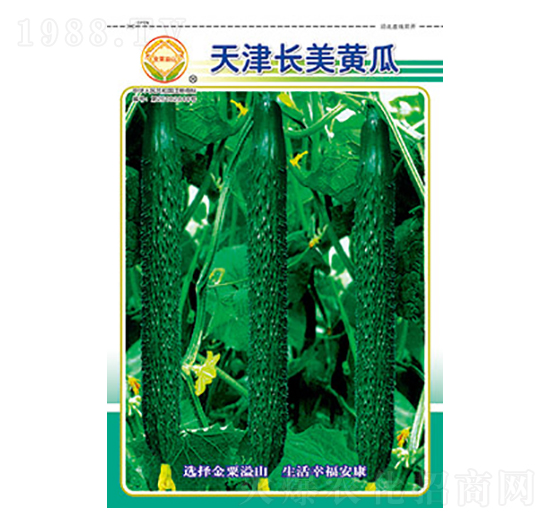 �S�ϷN��-����L(zh��ng)���S��-̫���N�I(y��)