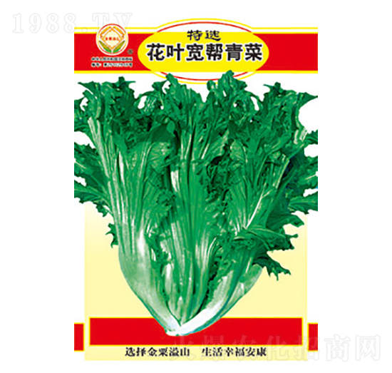 ��˷N��-���x���~�������-̫��(l��)�N�I(y��)