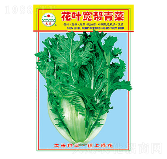 ��˷N��-���~�������-̫��(l��)�N�I(y��)