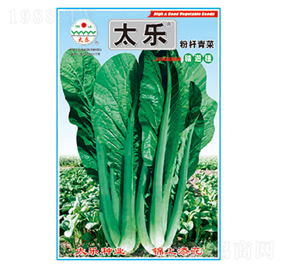 ��˷N��-�ۗU���-̫���N�I(y��)