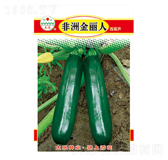 �����J�N��-���޽�����-̫���N�I(y��)