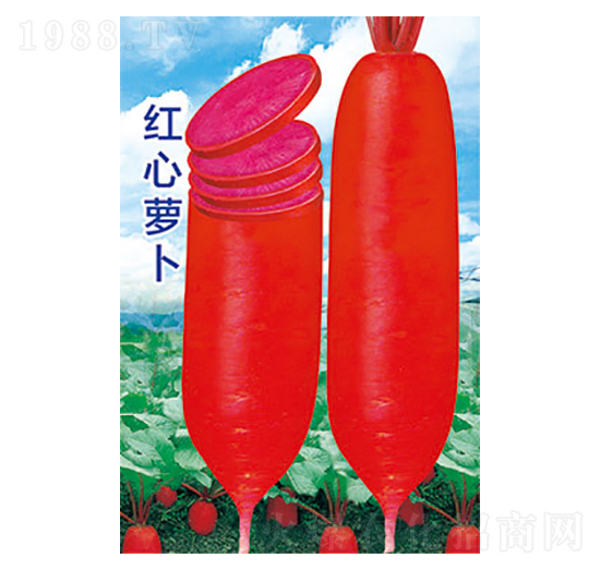 �}���N��-�t���}��-̫���N�I(y��)