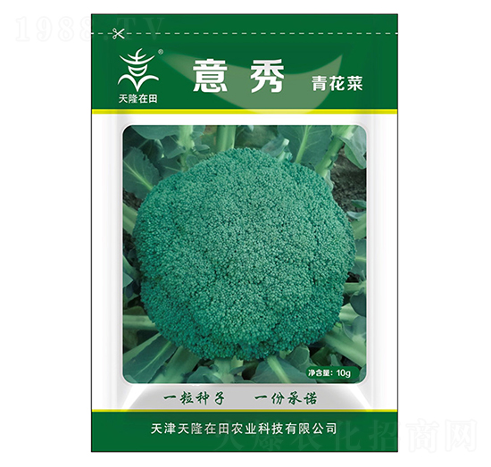 �໨�˷N��-����-��¡�r�I(y��)