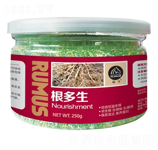 ������-�̶�����