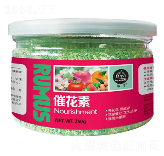 �߻���-�̶�����