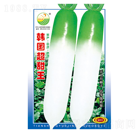 �}���N��-�n��������-̫���N�I(y��)