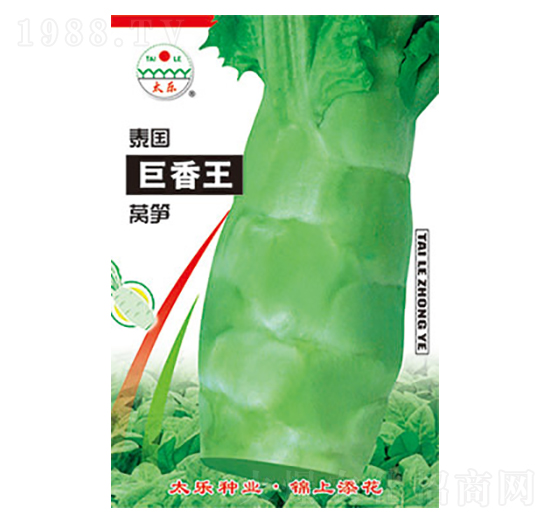 �n�S�N��-̩��(gu��)������-̫��(l��)�N�I(y��)