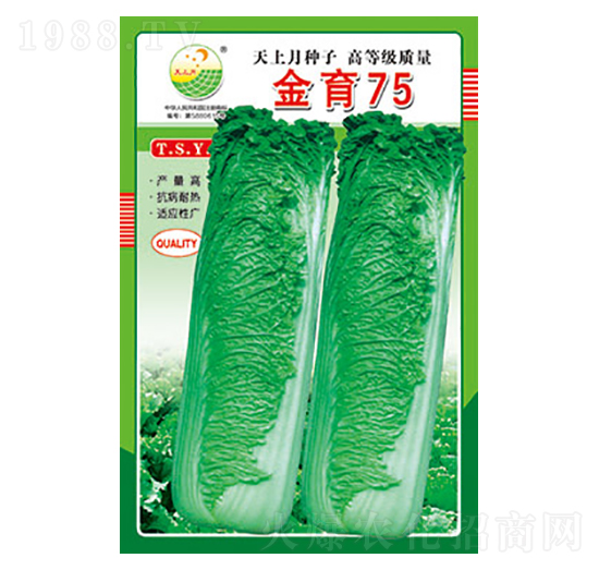 �ײ˷N��-����75-̫��(l��)�N�I(y��)