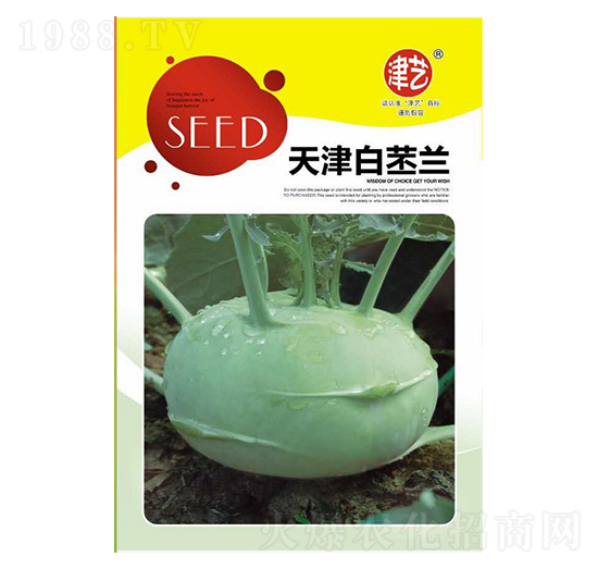 ���{�N��-�������{-���S�r(n��ng)�I(y��)