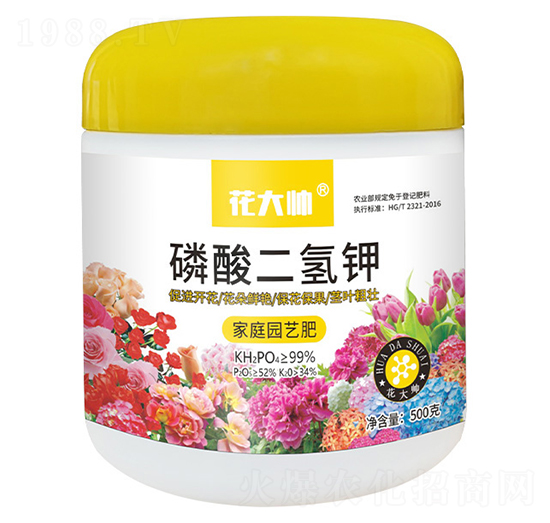 ��ͥ�@ˇ�ʣ��������⛣�-����-�G�ַʘI(y��)