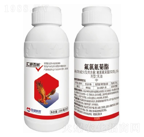 50��/���������������-�R���٘�-�����