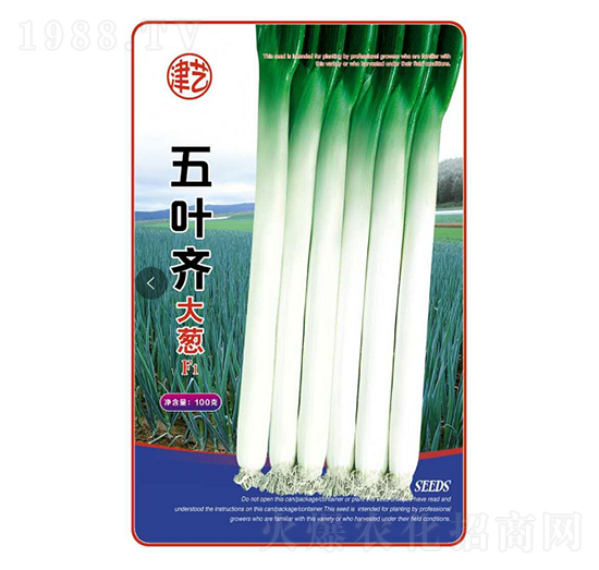 ���[�N��-���~�R���[-���S�r�I(y��)