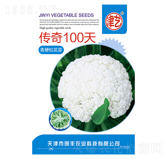 花菜種子-傳奇100天-邯豐農(nóng)業(yè)