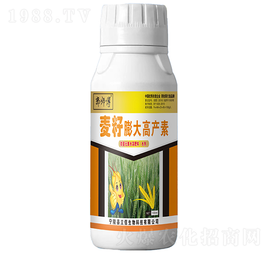 �������߮a��-������-��������