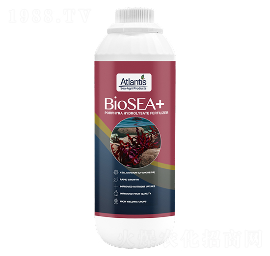 �͜�����ø�����-�{(l��n)�Kɭ