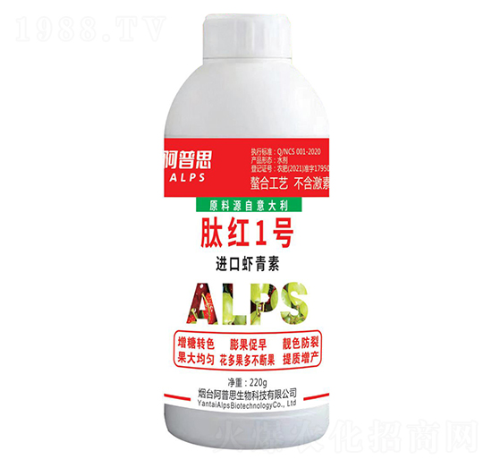 �M(j��n)���r����-�ļt1̖-����˼����