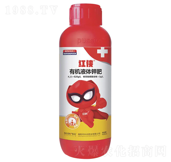 �t�b-����������-�����ʘI(y��)