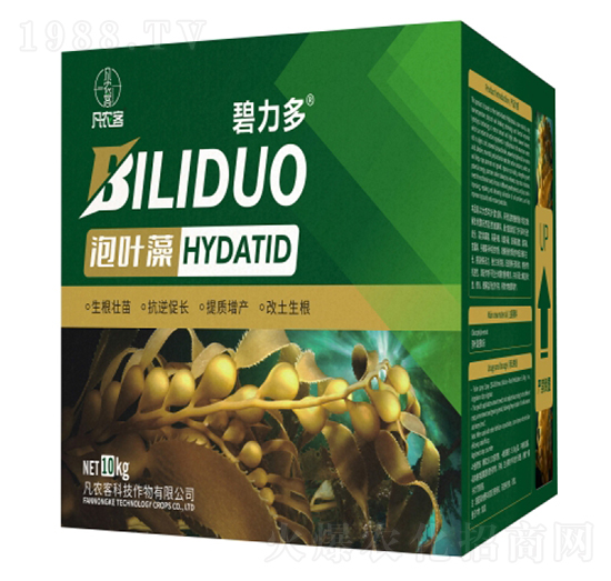 ���~��-������-���r(n��ng)��