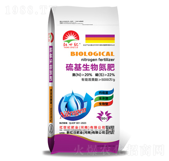 ������ﵪ��-�t���o