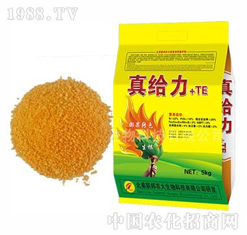 ��o��-�����r(n��ng)��