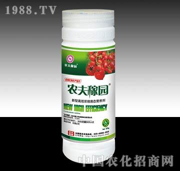 �r��ڈ@_�����t����