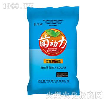 ������΢�������-�˰�����