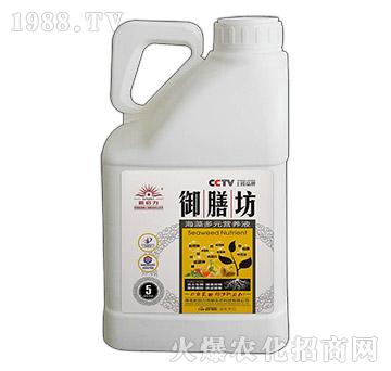 5kg�����Ԫ�I�B(y��ng)Һ-���ŷ�-����