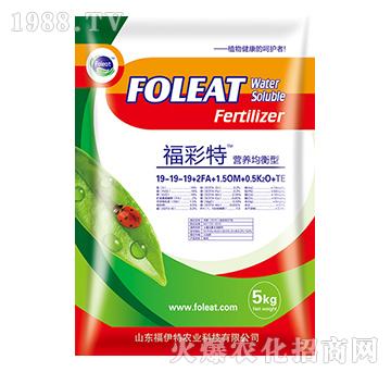 營(yíng)養(yǎng)均衡型水溶肥19-19-19-福彩特-福伊特