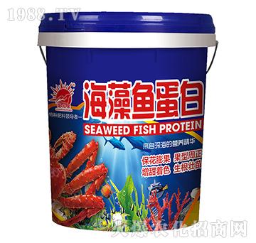 �����~���ף��{��-�P�L��