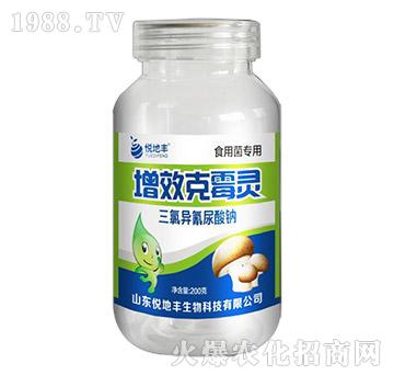 ʳ�þ���(zhu��n)��-��Ч��ù�`-�����S