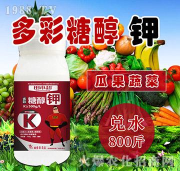 ����Ǵ��-��С��