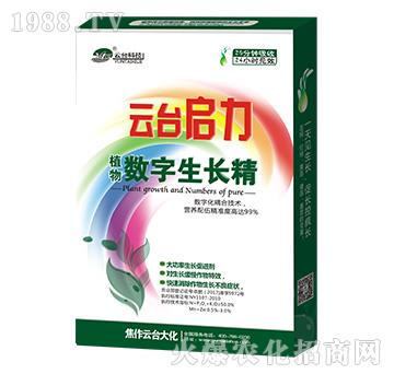 云臺(tái)啟力-云臺(tái)大化