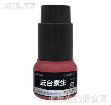 云臺康生-云臺大化