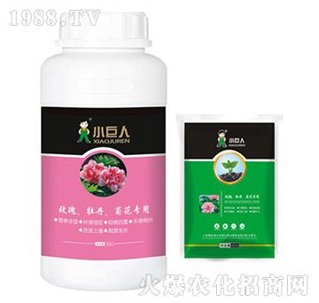 õ����ĵ�����ջ������{(di��o)��(ji��)��-С����