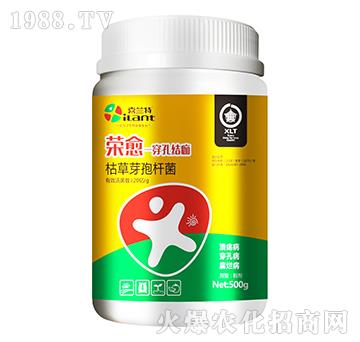 枯草芽孢桿菌-榮愈-喜蘭特