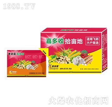 �ζ���-ِ��¶