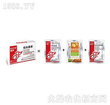 ���x(ch��ng)�ײ�-���ֽM��-���˹����r(n��ng)��