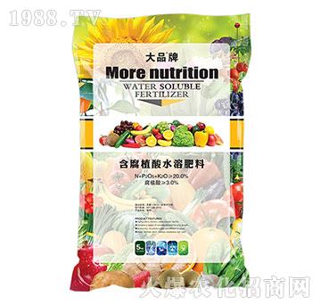 含腐植酸水溶肥料-大品牌-山旺生物