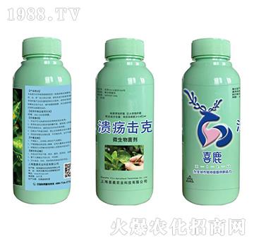 ΢�������-��������-�Gɫ�r(n��ng)�I(y��)