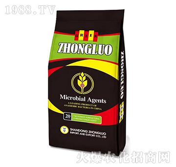 ΢�������-���_����-���_